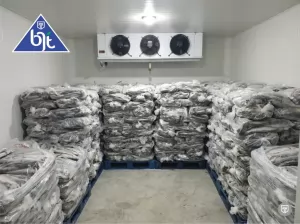 Pemanfaatan Cold Storage Freezer atau Blast Freezer untuk Ikan Tangkap